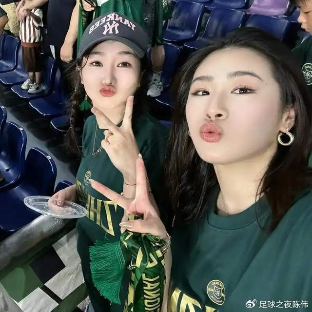 开云官网-中超16强巡礼·浙江:大动作频频,绿军要搞事情?|浙江队|凯尔特人|托利奇|上海海港|米特里_新浪体育_新浪新闻